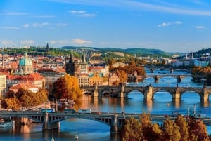 Fra Wien: Privat dagstur til Prag inkl. lokal guide