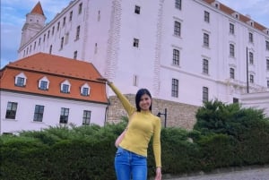 Au départ de Vienne : Visite privée d'une jounée à Bratislava avec guide