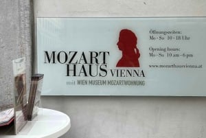 Au départ de Vienne : Visite privée d'une journée à Salzbourg avec guide
