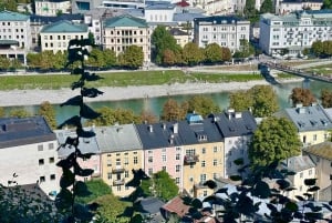 Von Wien aus: Private Ganztagestour nach Salzburg mit Guide