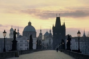 From Vienna: Private Full-Day Trip to Prague