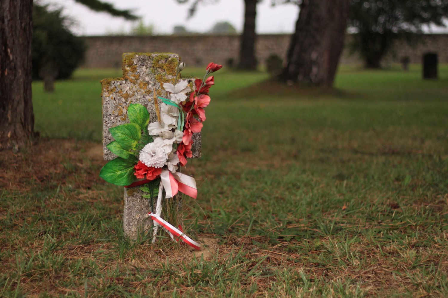 ウィーンから：車でのプライベートガイドツアーマウトハウゼンメモリアル