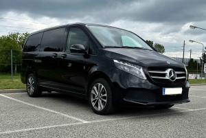 Vanuit Wenen: Privétour door Hallstatt