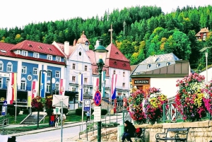 Z Wiednia: prywatna wycieczka do Mariazell