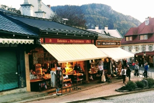 Z Wiednia: prywatna wycieczka do Mariazell