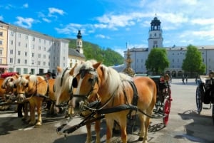 De Viena: viagem de um dia para grupos pequenos em Salzburgo