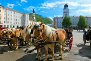 Fra Wien: Salzburg guidet dagsudflugt i lille gruppe