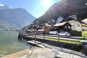 From Vienna: Hallstatt & Salzburg (En / Es Guide)