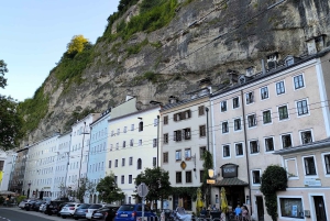 Von Wien: Tagestour ins malerische Hallstatt & historische Salzburg