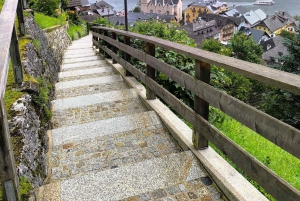 Von Wien: Tagestour ins malerische Hallstatt & historische Salzburg