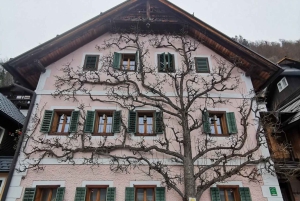 Von Wien: Tagestour ins malerische Hallstatt & historische Salzburg