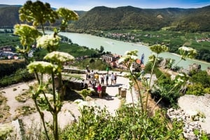 Z Wiednia: Jednodniowa wycieczka do Doliny Wachau z degustacją wina