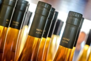 Från Wien: Dagstur till Wachaudalen med vinprovning