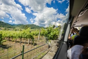 Wienistä: Wachaun laakson päiväretki ja viininmaistelu