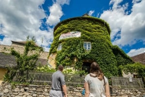 Z Wiednia: Jednodniowa wycieczka do Doliny Wachau z degustacją wina