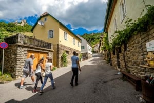 De Viena: Excursão de um dia ao Vale de Wachau com degustação de vinhos