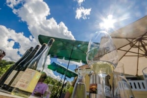 Von Wien aus: Wachau-Tagestour mit Weinverkostung