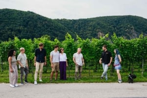 From Vienna: Wachau Valley Day Tour with Wine Tasting
