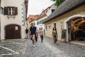 From Vienna: Wachau Valley Day Tour with Wine Tasting