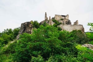 From Vienna: Wachau Valley Day Tour with Wine Tasting