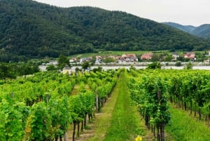 From Vienna: Wachau Valley Day Tour with Wine Tasting