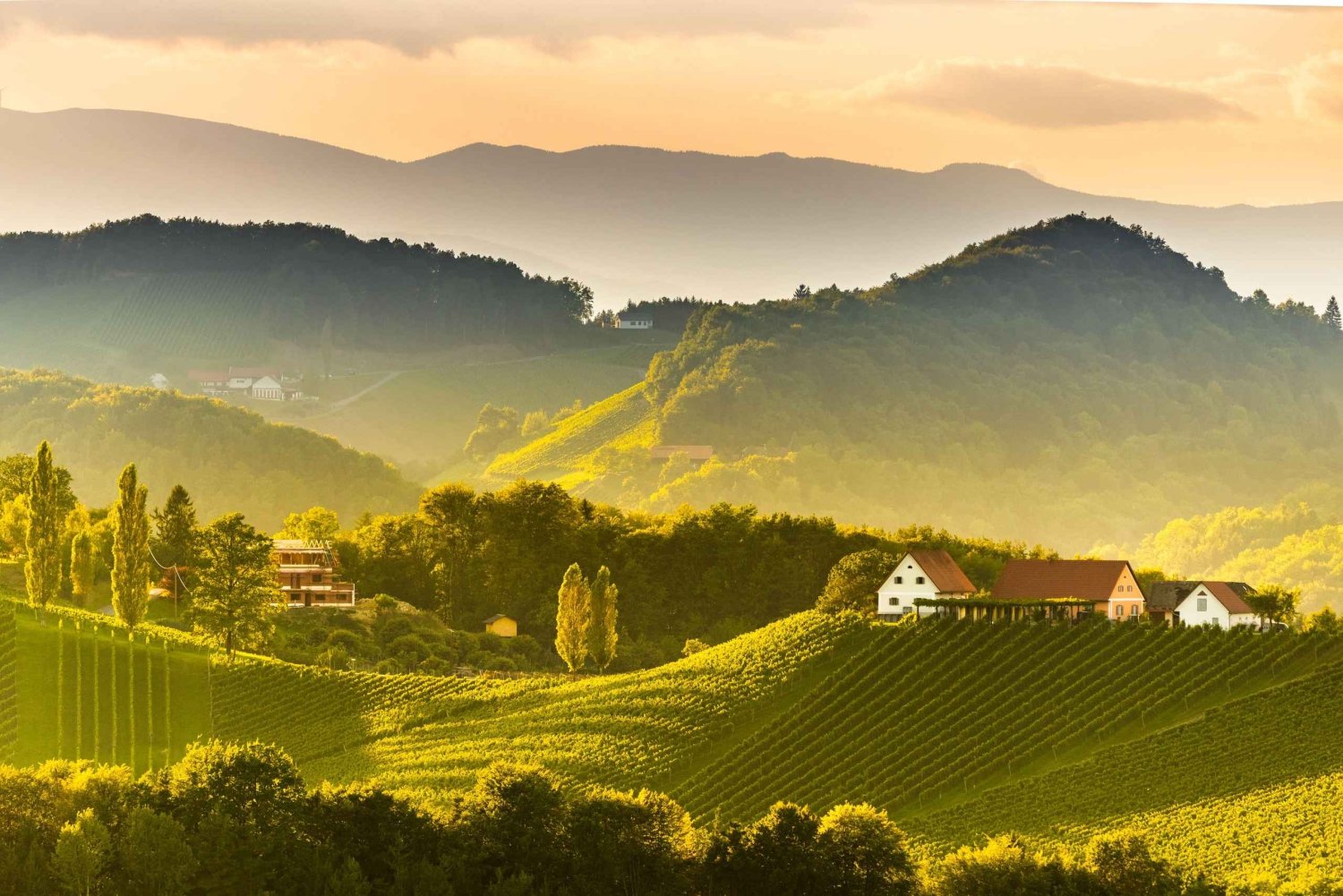 From Vienna: Wachau Valley Day Trip with Wine Tasting