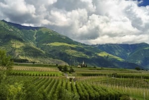 From Vienna: Wachau Valley Day Trip with Wine Tasting