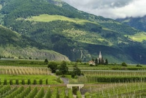 From Vienna: Wachau Valley Day Trip with Wine Tasting