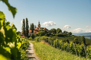 From Vienna: Wachau Valley Day Trip with Wine Tasting