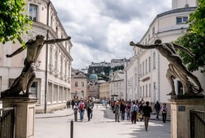 Privétrip van een hele dag van Wenen naar Salzburg
