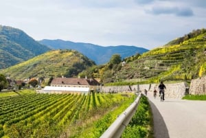 Całodniowa prywatna wycieczka z Wiednia do Doliny Wachau