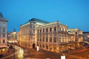 Tour privato di Vienna di un'intera giornata da Praga