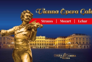 Gdansk: Vienna Opera Gala