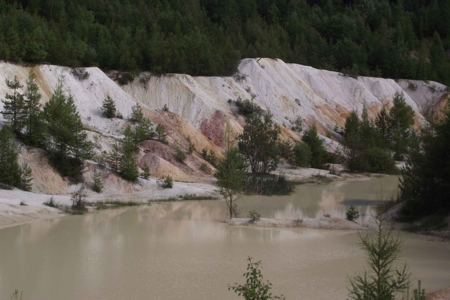 Conhece a Morávia do Sul connosco. Passeio de 6 horas.