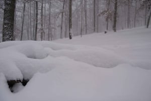Descubre Moravia del Sur con nosotros. Tour de 6 horas.