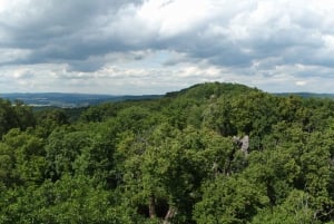 Descubre Moravia del Sur con nosotros. Tour de 6 horas.