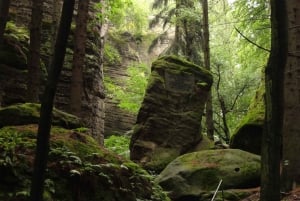 Descubre Moravia del Sur con nosotros. Tour de 6 horas.
