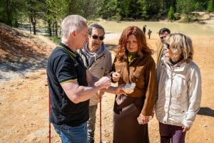 私たちと一緒に南モラビアを満喫しましょう。6時間ツアーです。