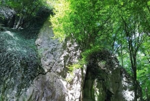 私たちと一緒に南モラビアを満喫しましょう。6時間ツアーです。