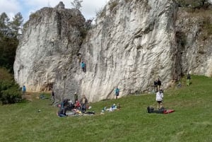 私たちと一緒に南モラビアを満喫しましょう。6時間ツアーです。