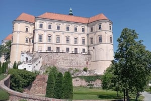 私たちと一緒に南モラビアを満喫しましょう。6時間ツアーです。