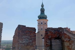 私たちと一緒に南モラビアを満喫しましょう。6時間ツアーです。