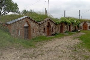 私たちと一緒に南モラビアを満喫しましょう。6時間ツアーです。