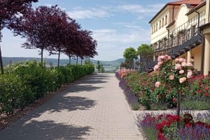 私たちと一緒に南モラビアを満喫しましょう。6時間ツアーです。