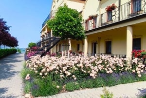 私たちと一緒に南モラビアを満喫しましょう。6時間ツアーです。