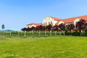 私たちと一緒に南モラビアを満喫しましょう。6時間ツアーです。