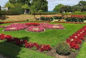 私たちと一緒に南モラビアを満喫しましょう。6時間ツアーです。