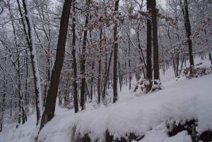 Conhece a Morávia do Sul connosco. Passeio de 6 horas.