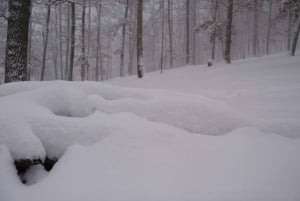 Conhece a Morávia do Sul connosco. Passeio de 6 horas.