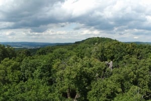 Conhece a Morávia do Sul connosco. Passeio de 6 horas.